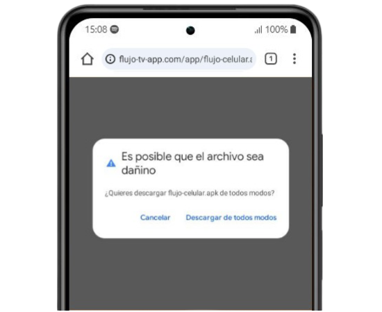 20241210100455 Seleccione "Descargar de todas formas" cuando se le solicite.